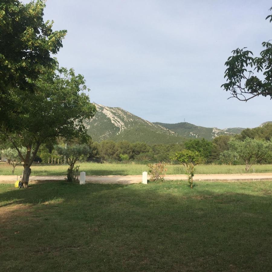 Sur Les Pas De Pagnol Bed & Breakfast Aubagne Dış mekan fotoğraf